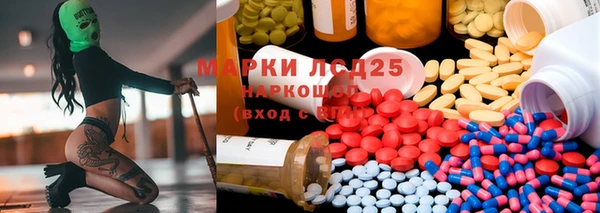 винт Лабытнанги