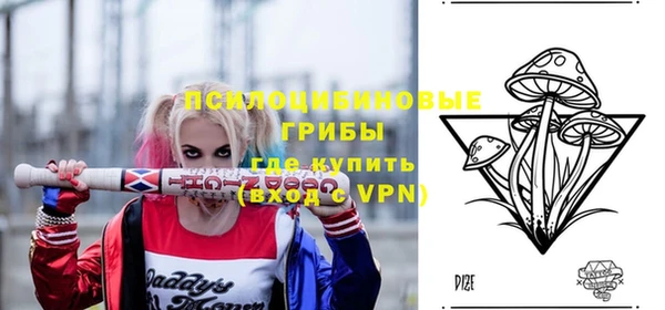 молекула духа Алзамай