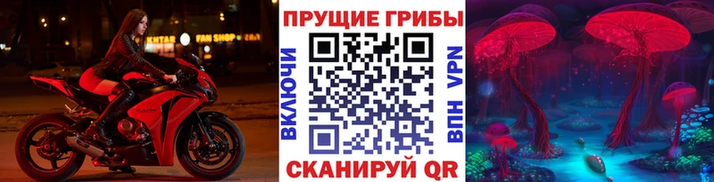 блэк спрут tor  darknet наркотические препараты  Галлюциногенные грибы прущие грибы  наркотики  Белокуриха 